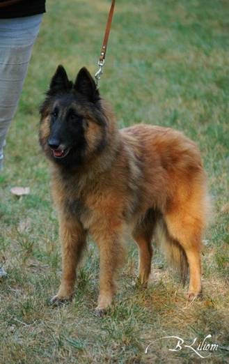 320287_2418491783364_1283463455_32953535_2098149672_n