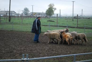 599541_4896616254927_830275200_n