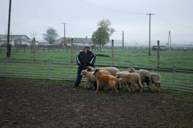 530818_4896615534909_529274663_n