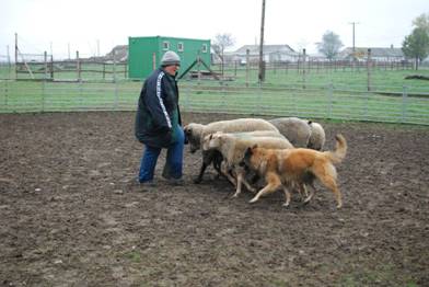 445_4896614894893_1178414426_n