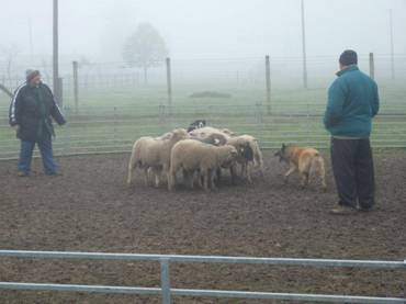 3028_553070034709949_769555422_n