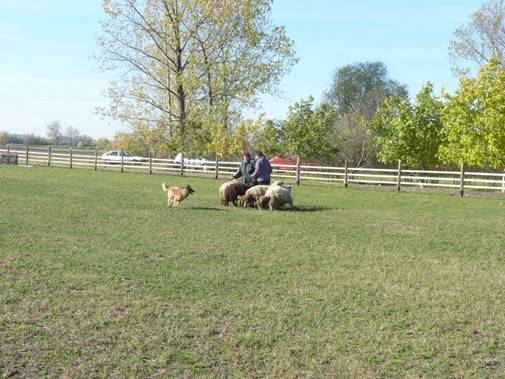 602271_553784474638505_229088524_n