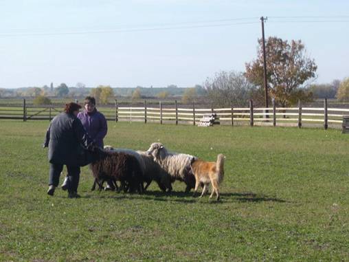 302802_553784671305152_167966115_n