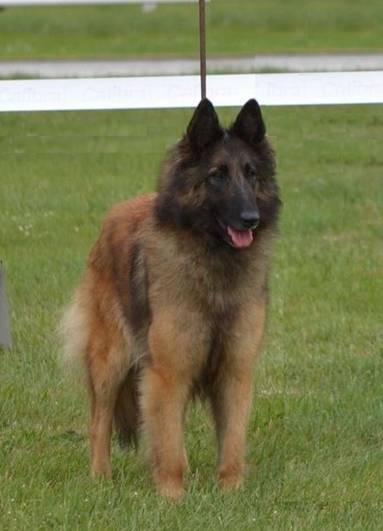 tahi-vlgyi jaidajobb07.31